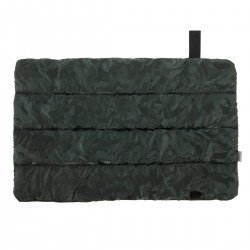 CAMBIADOR VESTIDOR 40x60x1 CM CRIPSI VERDE